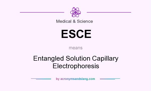 What does ESCE mean? It stands for Entangled Solution Capillary Electrophoresis