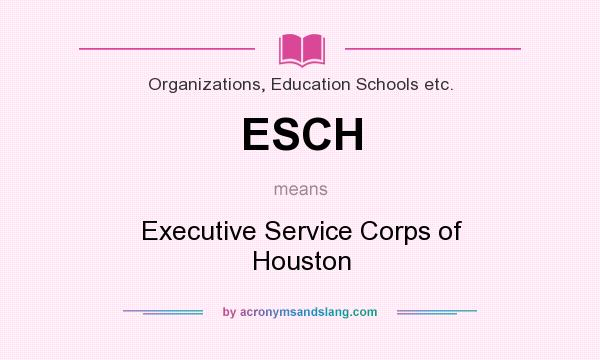 What does ESCH mean? It stands for Executive Service Corps of Houston