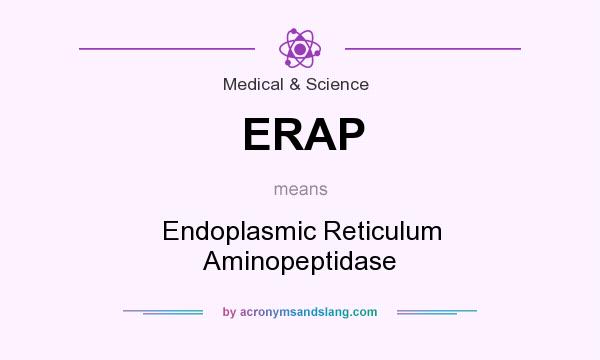 What does ERAP mean? It stands for Endoplasmic Reticulum Aminopeptidase