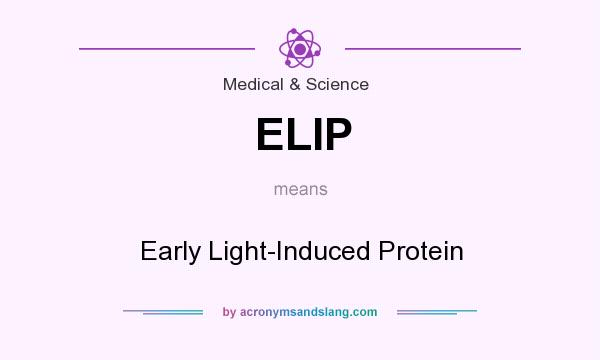 What does ELIP mean? It stands for Early Light-Induced Protein