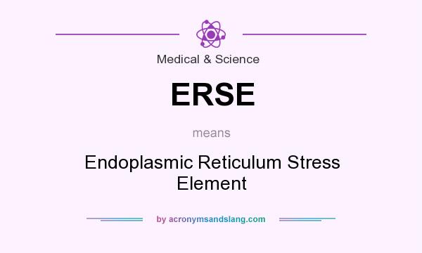 What does ERSE mean? It stands for Endoplasmic Reticulum Stress Element