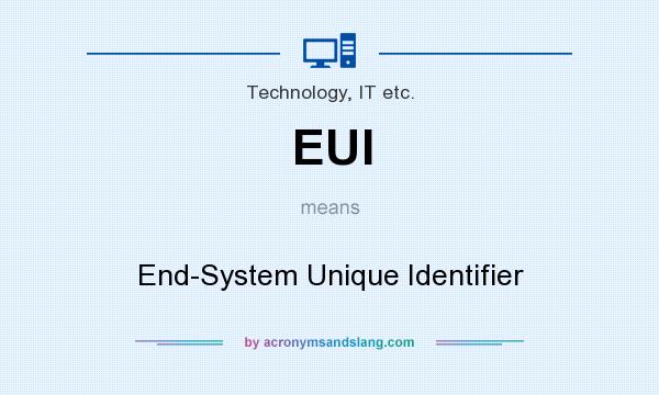 What does EUI mean? It stands for End-System Unique Identifier