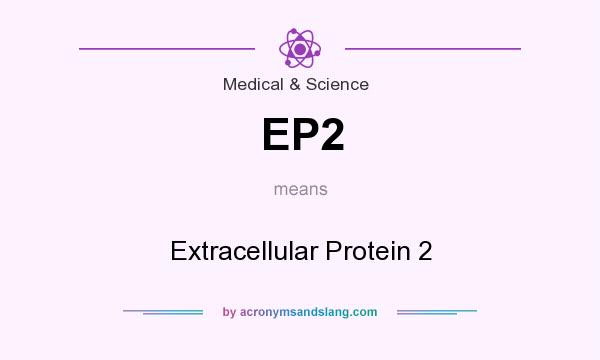 What does EP2 mean? It stands for Extracellular Protein 2