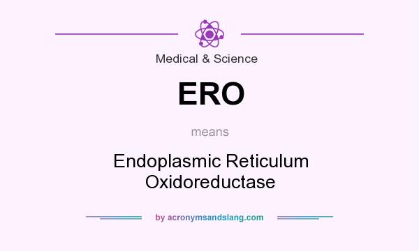 What does ERO mean? It stands for Endoplasmic Reticulum Oxidoreductase