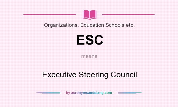 What does ESC mean? It stands for Executive Steering Council
