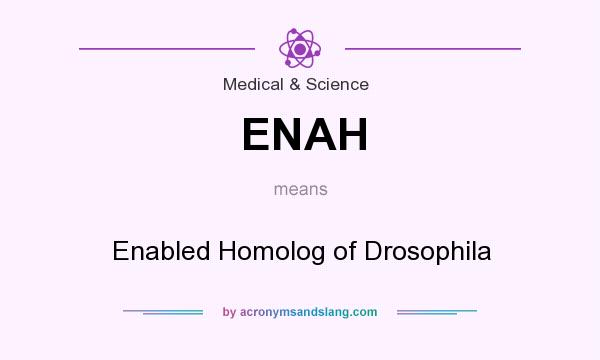 What does ENAH mean? It stands for Enabled Homolog of Drosophila