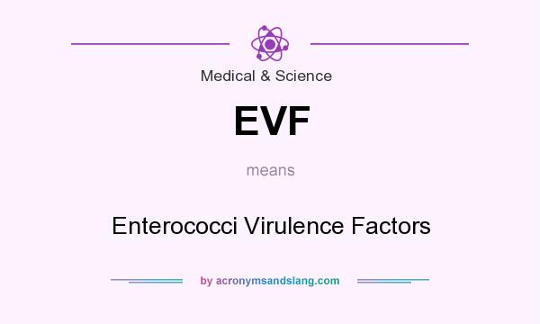 What does EVF mean? It stands for Enterococci Virulence Factors