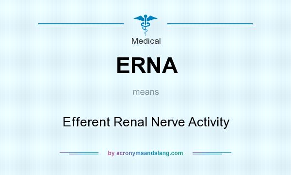 What does ERNA mean? It stands for Efferent Renal Nerve Activity