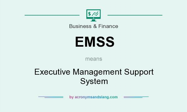 What does EMSS mean? It stands for Executive Management Support System