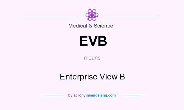 What does EVB mean? It stands for Enterprise View B