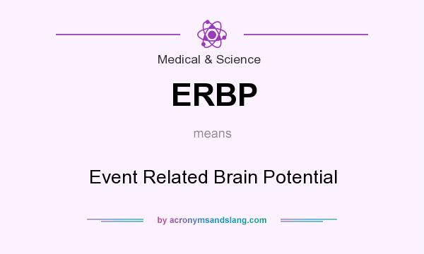 What does ERBP mean? It stands for Event Related Brain Potential