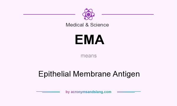 What does EMA mean? It stands for Epithelial Membrane Antigen