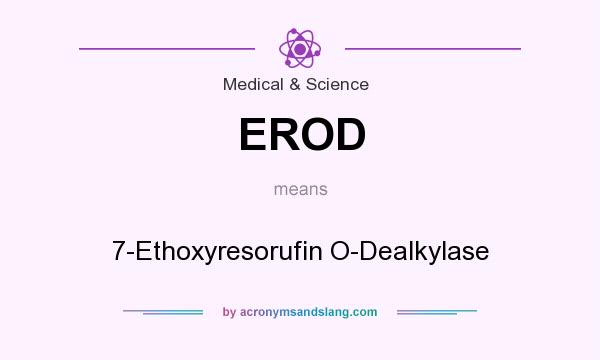 What does EROD mean? It stands for 7-Ethoxyresorufin O-Dealkylase