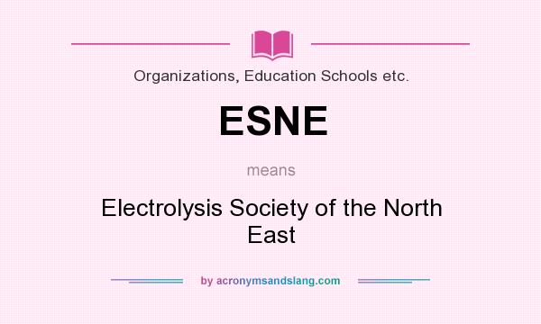 What does ESNE mean? It stands for Electrolysis Society of the North East