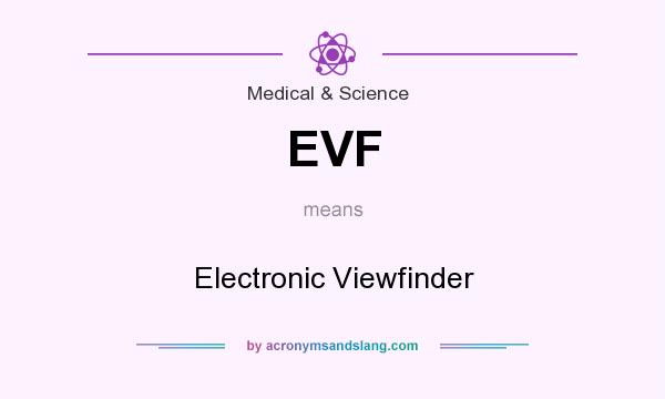 What does EVF mean? It stands for Electronic Viewfinder