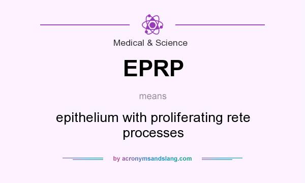 What does EPRP mean? It stands for epithelium with proliferating rete processes