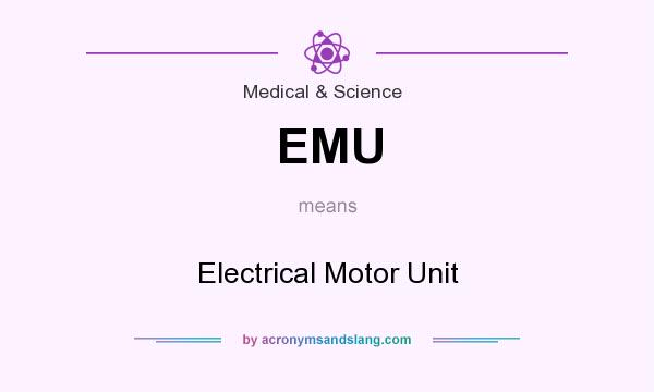 What does EMU mean? It stands for Electrical Motor Unit