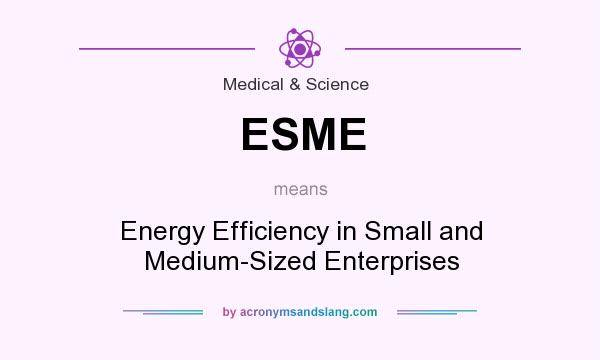 What does ESME mean? It stands for Energy Efficiency in Small and Medium-Sized Enterprises