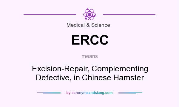 What does ERCC mean? It stands for Excision-Repair, Complementing Defective, in Chinese Hamster
