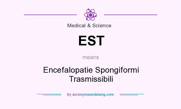 What does EST mean? It stands for Encefalopatie Spongiformi Trasmissibili