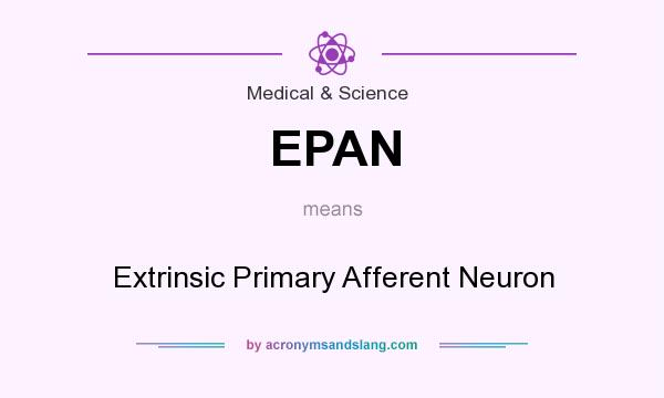 What does EPAN mean? It stands for Extrinsic Primary Afferent Neuron