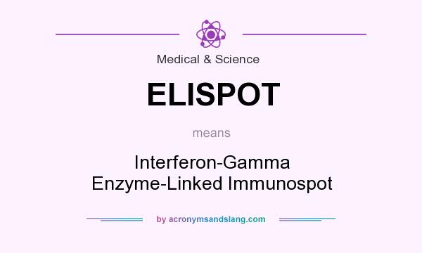 What does ELISPOT mean? It stands for Interferon-Gamma Enzyme-Linked Immunospot