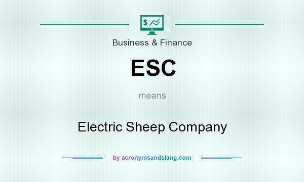 What does ESC mean? It stands for Electric Sheep Company