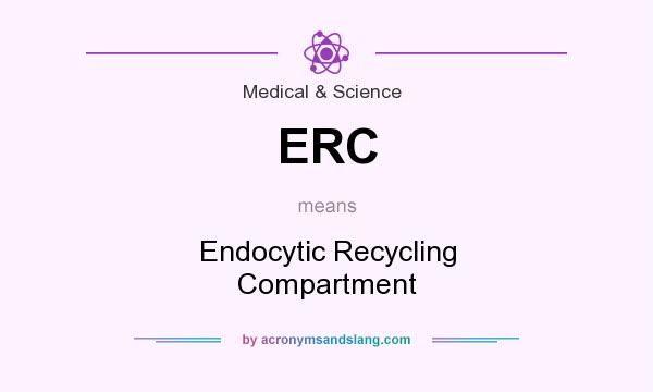 What does ERC mean? It stands for Endocytic Recycling Compartment