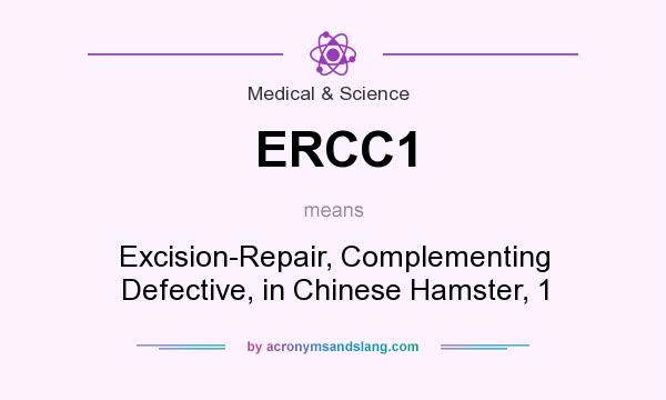 What does ERCC1 mean? It stands for Excision-Repair, Complementing Defective, in Chinese Hamster, 1