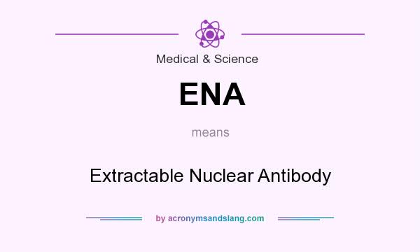 What does ENA mean? It stands for Extractable Nuclear Antibody