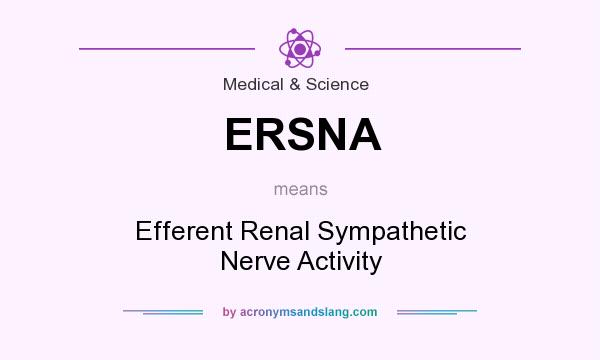 What does ERSNA mean? It stands for Efferent Renal Sympathetic Nerve Activity
