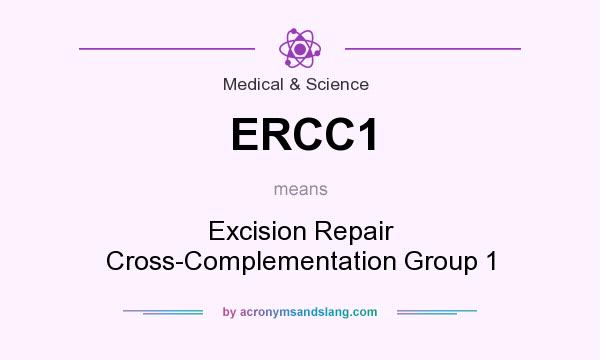 What does ERCC1 mean? It stands for Excision Repair Cross-Complementation Group 1
