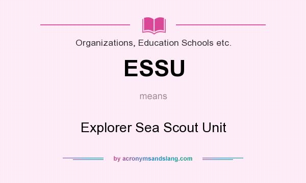 What does ESSU mean? It stands for Explorer Sea Scout Unit