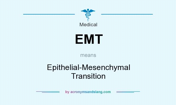 What does EMT mean? It stands for Epithelial-Mesenchymal Transition