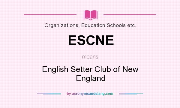 What does ESCNE mean? It stands for English Setter Club of New England