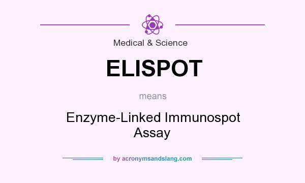 What does ELISPOT mean? It stands for Enzyme-Linked Immunospot Assay