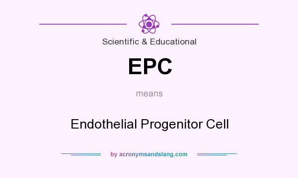 What does EPC mean? It stands for Endothelial Progenitor Cell