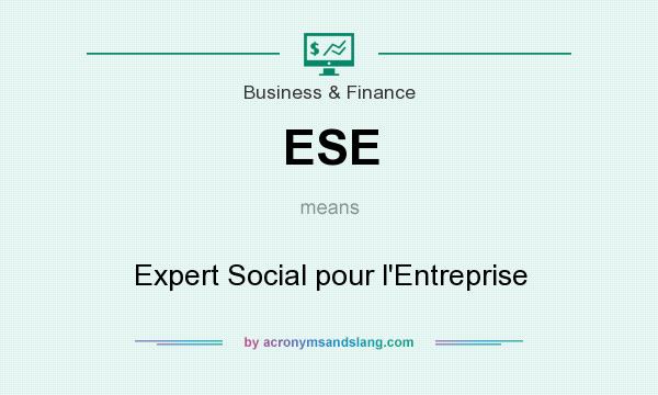 What does ESE mean? It stands for Expert Social pour l`Entreprise