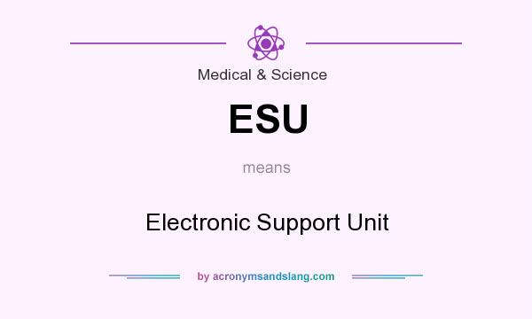 What does ESU mean? It stands for Electronic Support Unit
