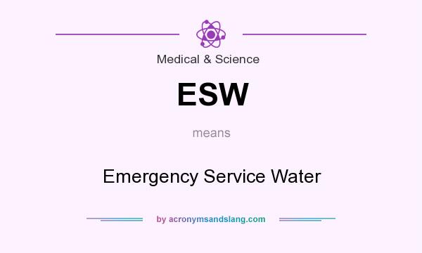 What does ESW mean? It stands for Emergency Service Water