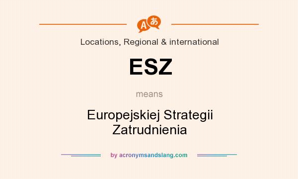 What does ESZ mean? It stands for Europejskiej Strategii Zatrudnienia