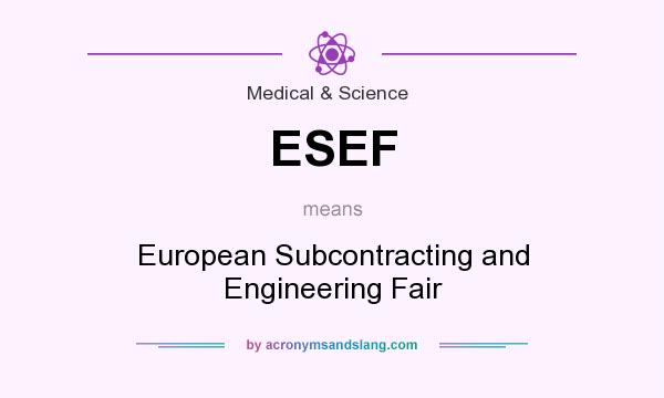 What does ESEF mean? It stands for European Subcontracting and Engineering Fair