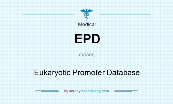 What does EPD mean? It stands for Eukaryotic Promoter Database