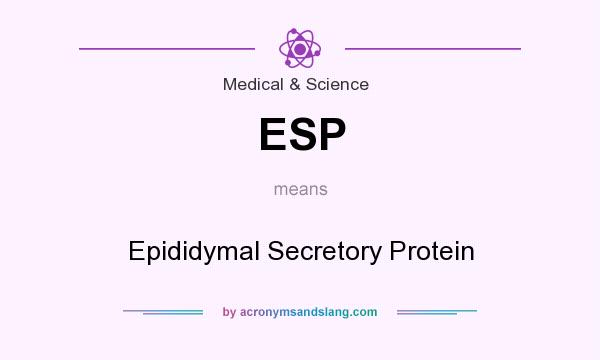 What does ESP mean? It stands for Epididymal Secretory Protein