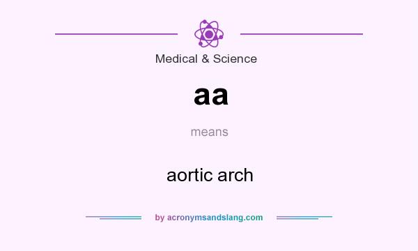 What does aa mean? It stands for aortic arch