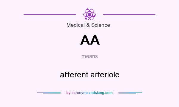 What does AA mean? It stands for afferent arteriole