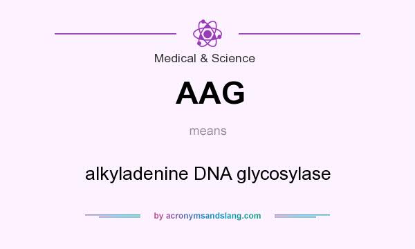 What does AAG mean? It stands for alkyladenine DNA glycosylase