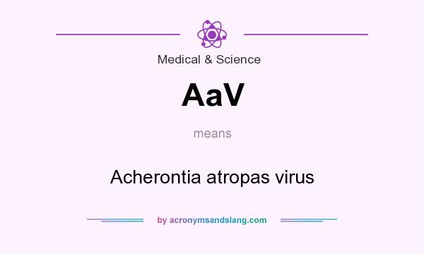 What does AaV mean? It stands for Acherontia atropas virus