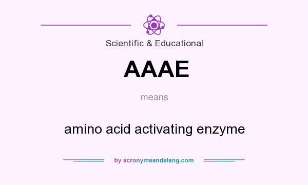 What does AAAE mean? It stands for amino acid activating enzyme