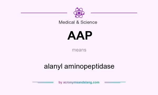 What does AAP mean? It stands for alanyl aminopeptidase